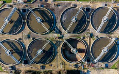 New dedicated wastewater data page improves visibility for global surveillance efforts