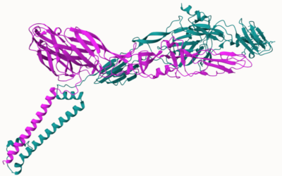 Significant data gap for virus proteins filled by AlphaFold AI model 